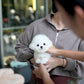 Bear - Mini Bichon (White)