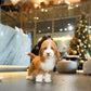 Mike - Giant Poodle (Brown & White)