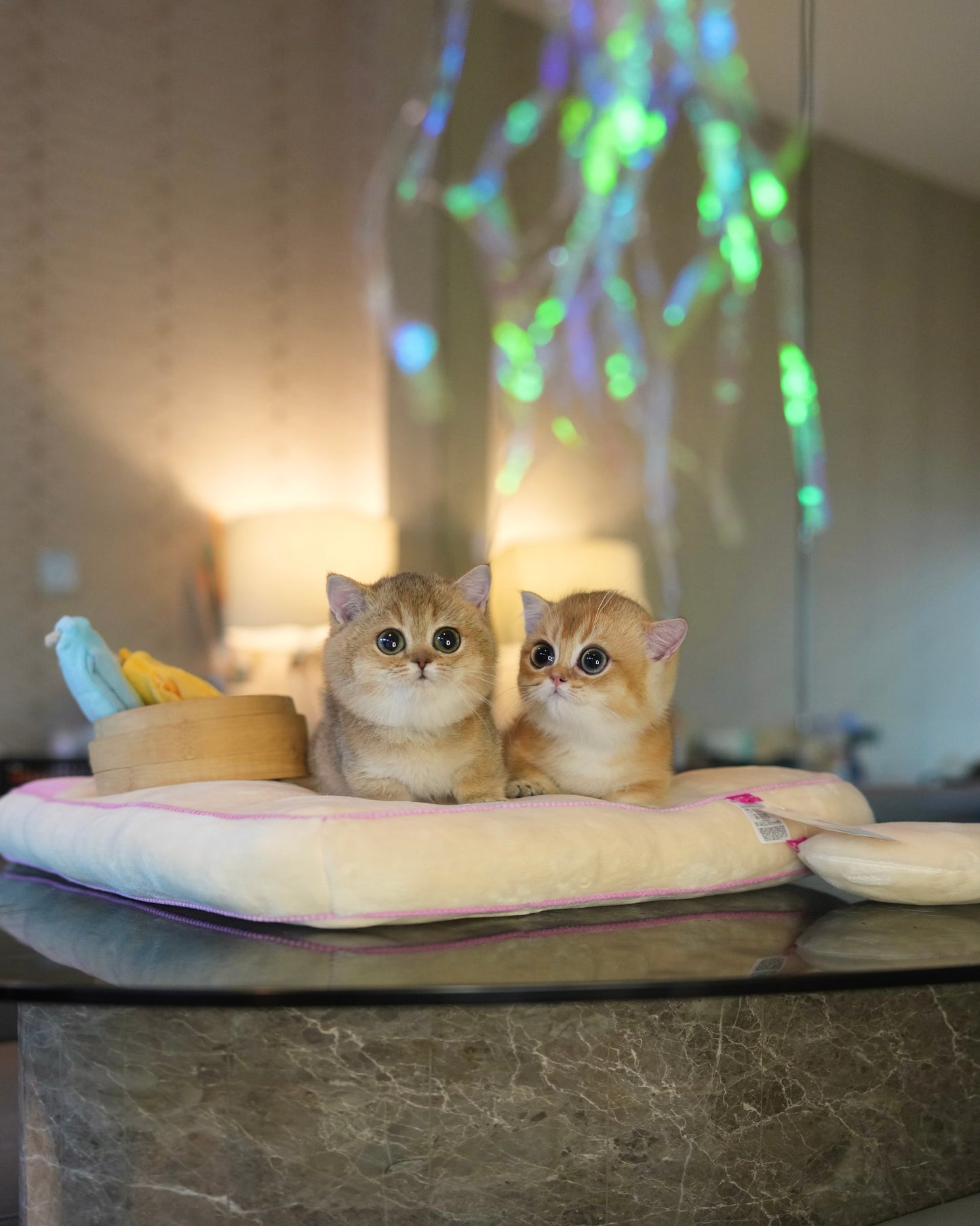 Howell - Munchkin (Gold)