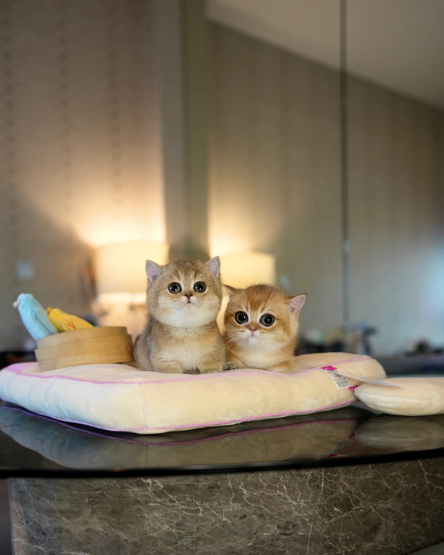 Howell - Munchkin (Gold)