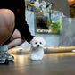 JJ - Mini Bichon (White)