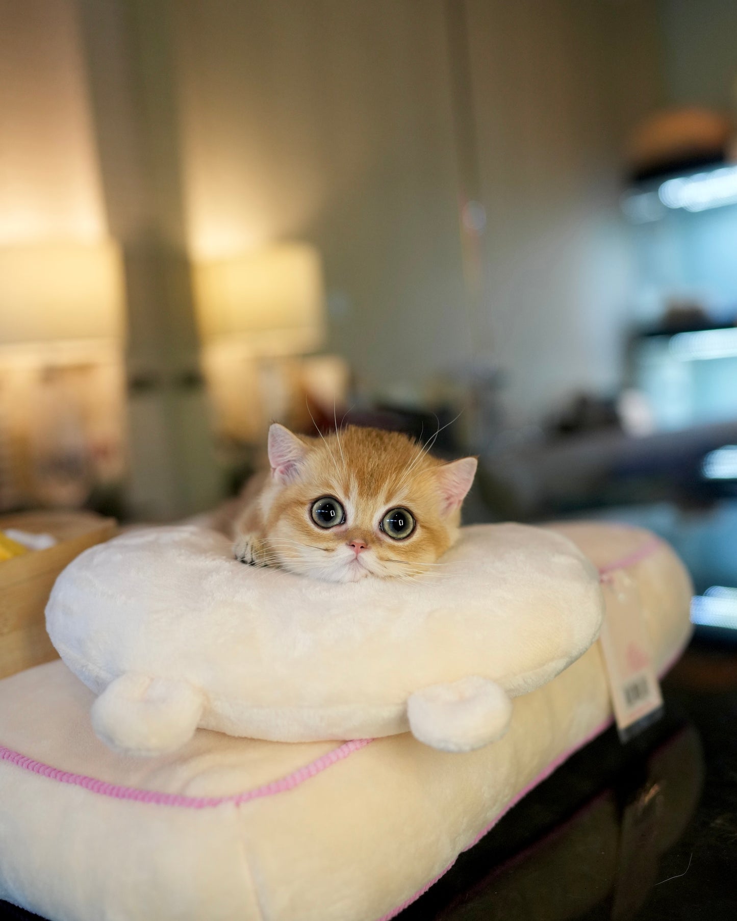 Howell - Munchkin (Gold)