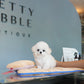 Sophie - Mini Bichon (White)