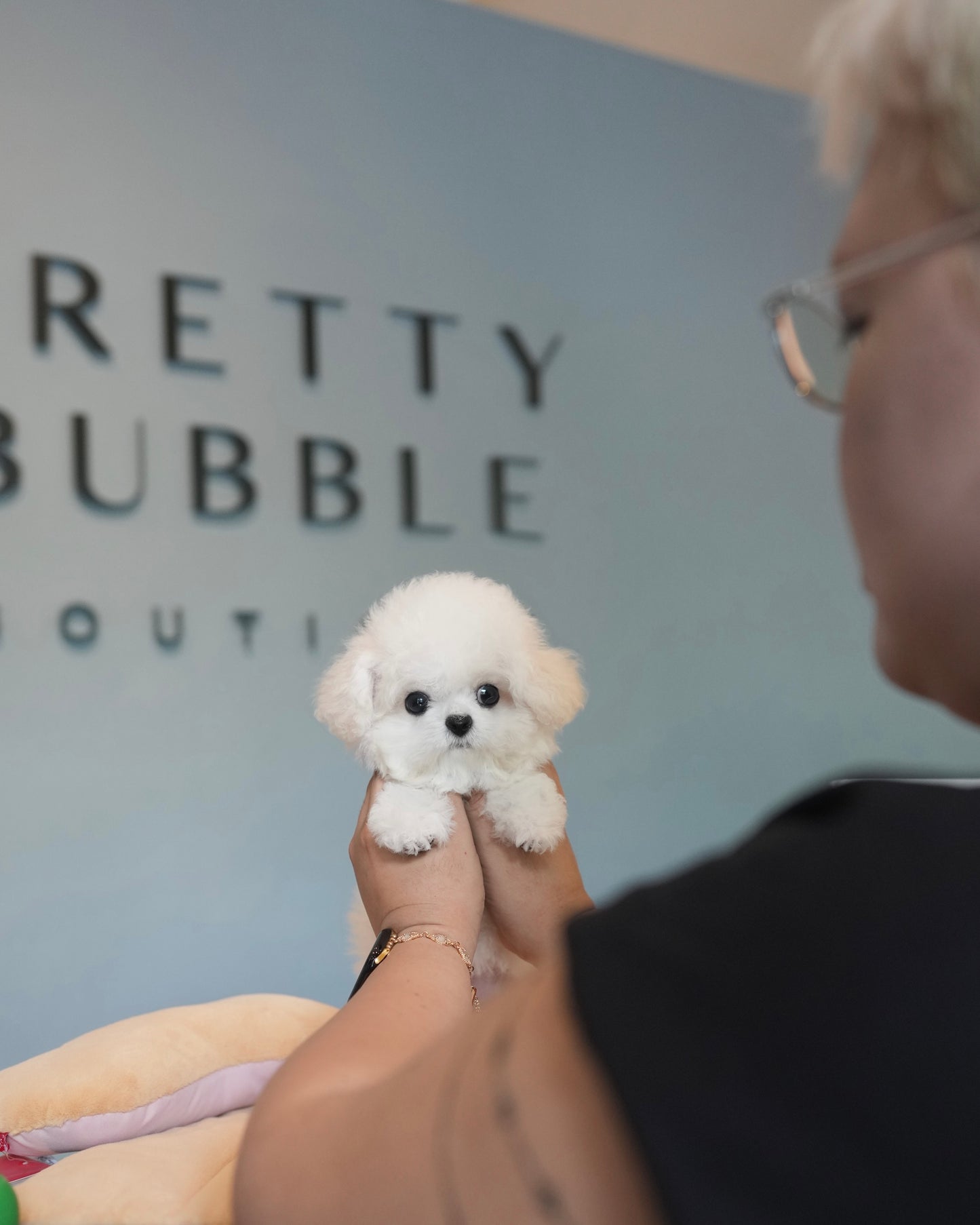 Sophie - Mini Bichon (White)