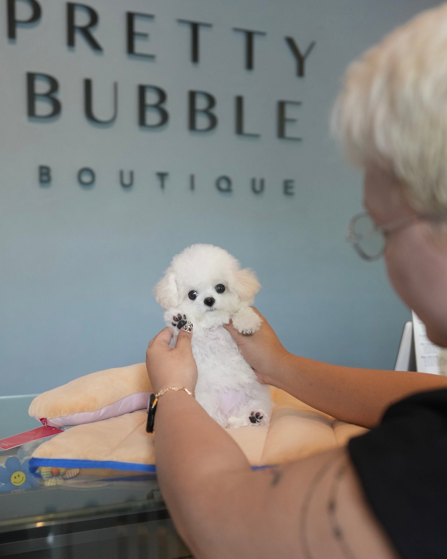 Sophie - Mini Bichon (White)