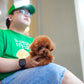 Jasper - Tiny Poodle (Red)