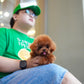 Jasper - Tiny Poodle (Red)