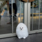 Ica - Pomeranian (White)
