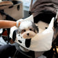 Jasper - Coton de Tulear (Parti)