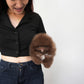 Kean - Pomeranian (Choco)