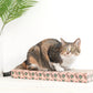 Pariscat Square Scratcher
