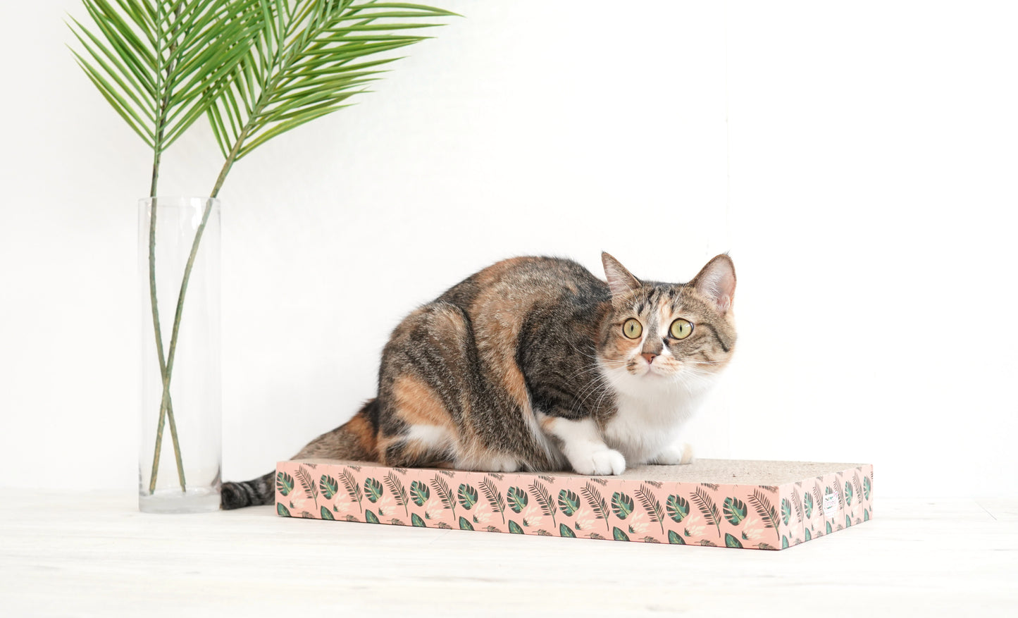 Pariscat Square Scratcher