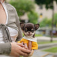 Raven - Teacup Chihuahua (Choco Tan)