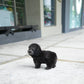 Luna - Tiny Poodle (Silver)
