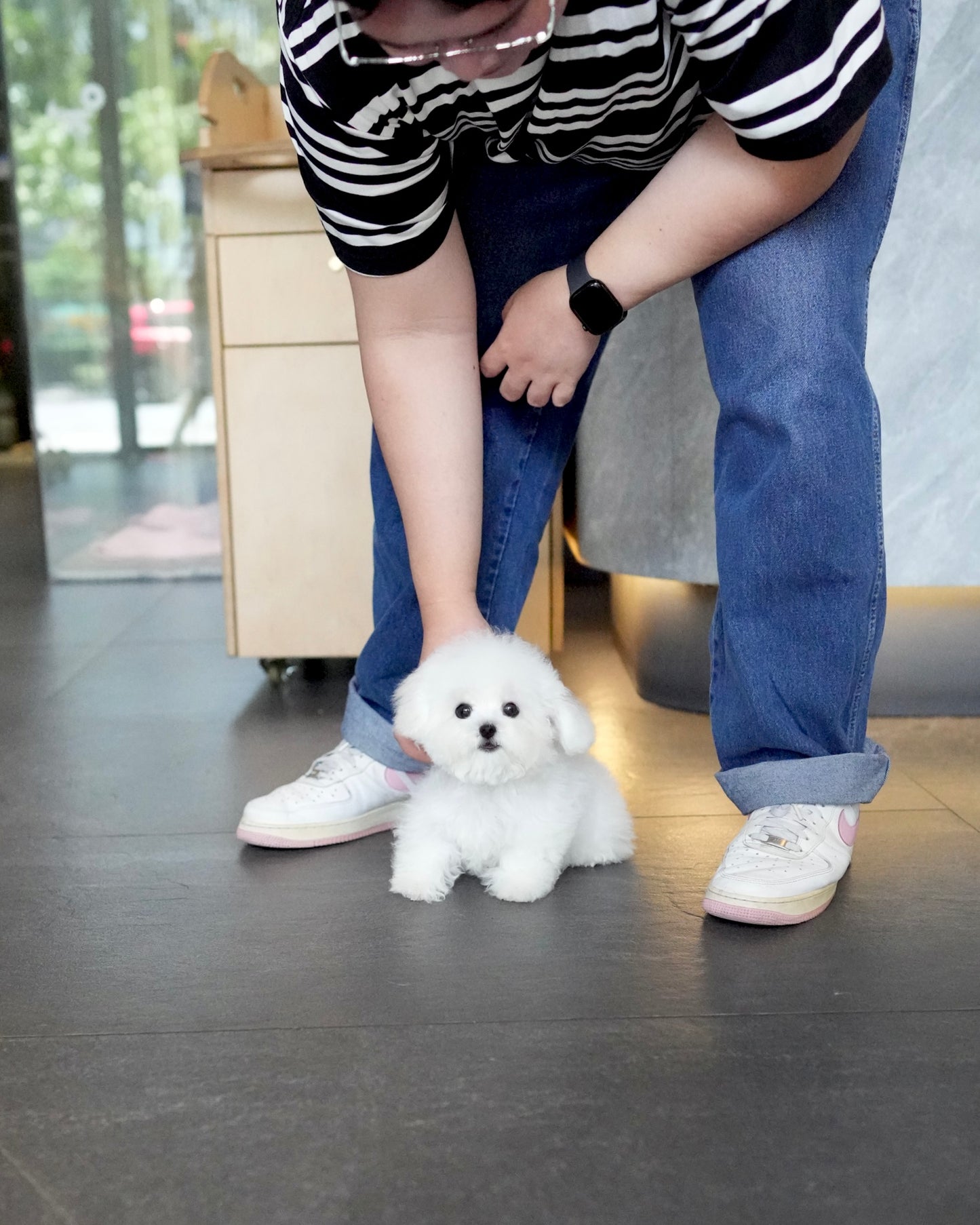 Alden - Mini Bichon (White)