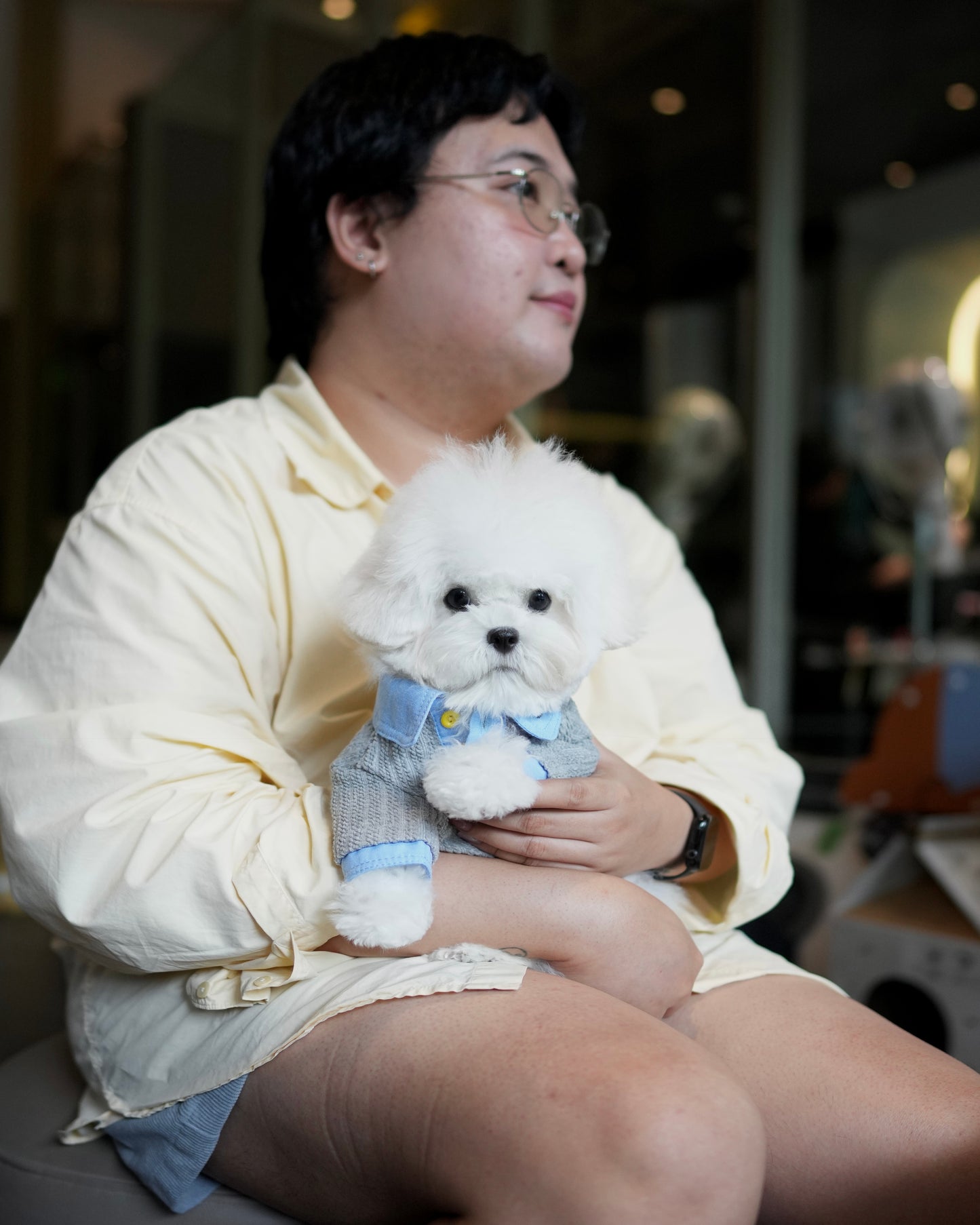 Kenzo - Mini Bichon (White)