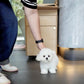 Alden - Mini Bichon (White)