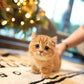 Darcy - Munchkin (Gold)