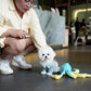 Kenzo - Mini Bichon (White)