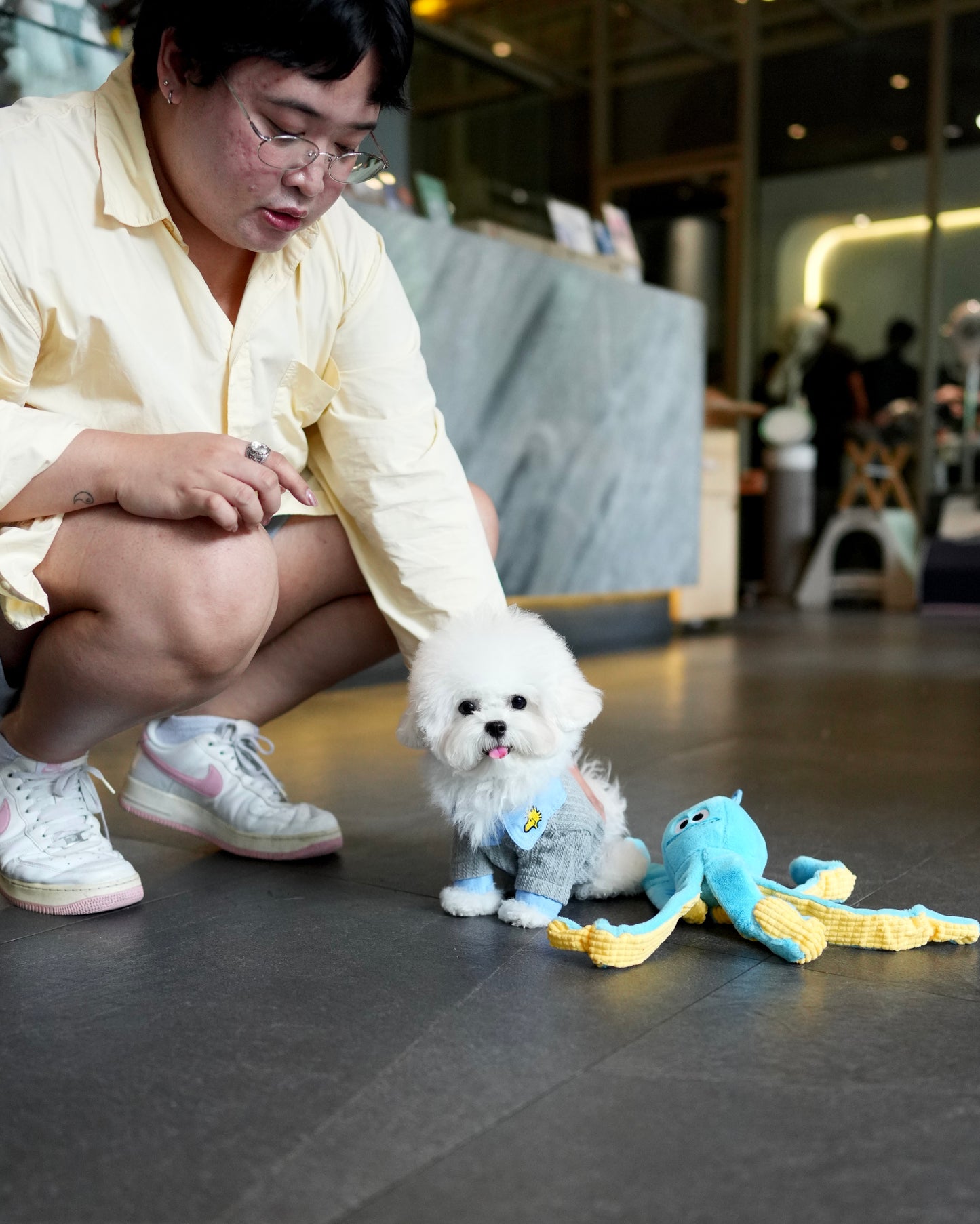 Kenzo - Mini Bichon (White)