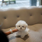 Zebby - Mini Bichon (White)