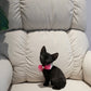 Reese - Devon Rex (Black)