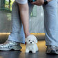 Jia - Mini Bichon (White)