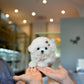 Otto - Mini Bichon (White)