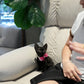 Reese - Devon Rex (Black)