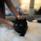 Lottie - Munchkin (Black)