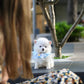 Elvis - Mini Pomsky (White)