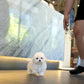 Yurum - Mini Bichon (White)