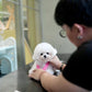 Snowy - Micro Bichon (White)