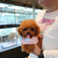 Fatima - Tiny Poodle (Red)