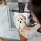 Ariana - Coton de Tulear (White)