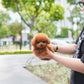 Bambi - Tiny Poodle (Red)
