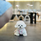 Snowy - Micro Bichon (White)