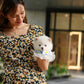 Elvis - Mini Pomsky (White)