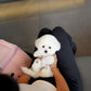Callie - Coton de Tulear (White)