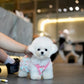 Snowy - Micro Bichon (White)
