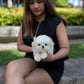 Liam - Maltese (White)