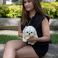 Liam - Maltese (White)