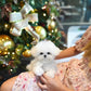 Olyn - Mini Bichon (White)