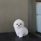 Poppy - Maltese (White)
