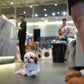 Kiko - Mini Shih Tzu (Brown & White)