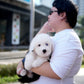 Jaira - Old English Sheepdog (Black & White)