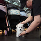 Steve - Mini West Highland White Terrier (White)