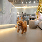 Angelie - Mini Golden Doodle (Brown)