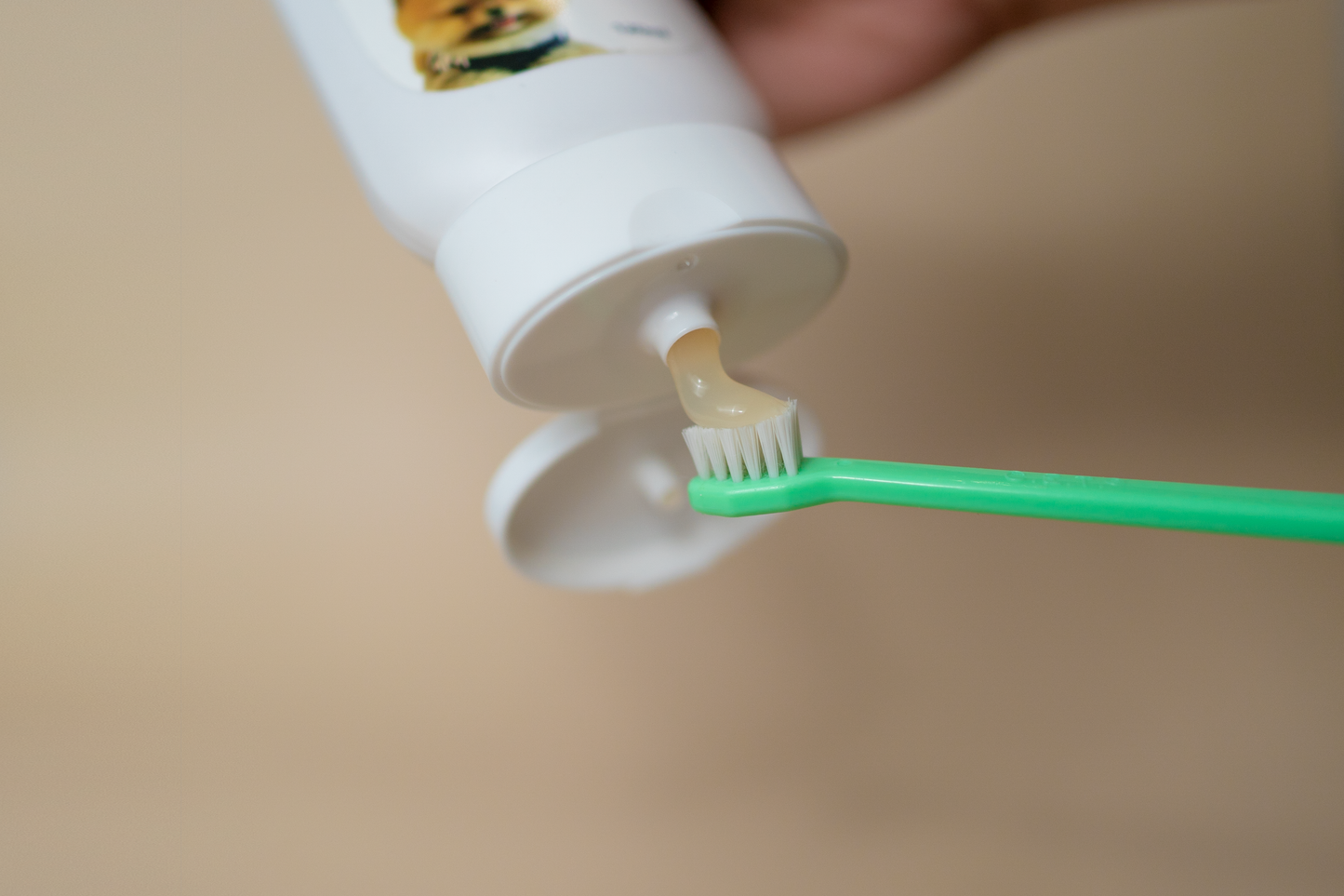 Pretty Bubble Pet Vitamin Toothpaste
