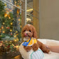 Angelie - Mini Golden Doodle (Brown)